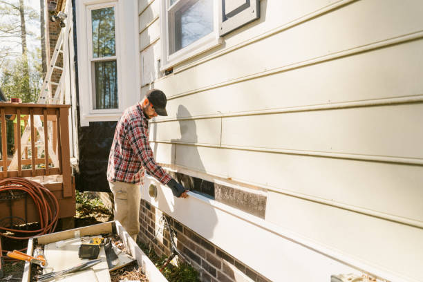 Top rated local Siding Replacement specialists in Paris, TN